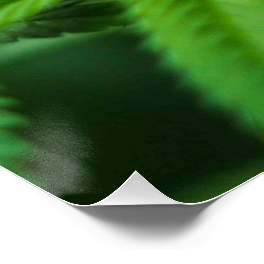 美しい雑草 ポスター (コーナー)