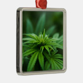 美しい雑草 メタルオーナメント (右)