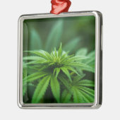 美しい雑草 メタルオーナメント (左)