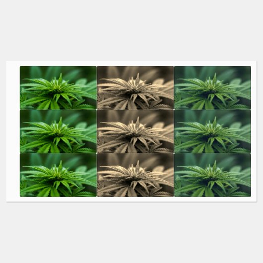 美しい雑草 ラベル (シート)