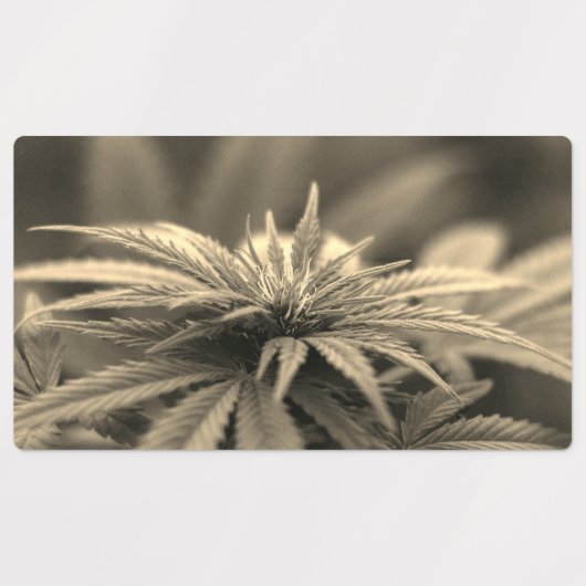 美しい雑草 ラベル (デザイン2)