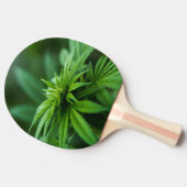 美しい雑草 卓球ラケット (横)