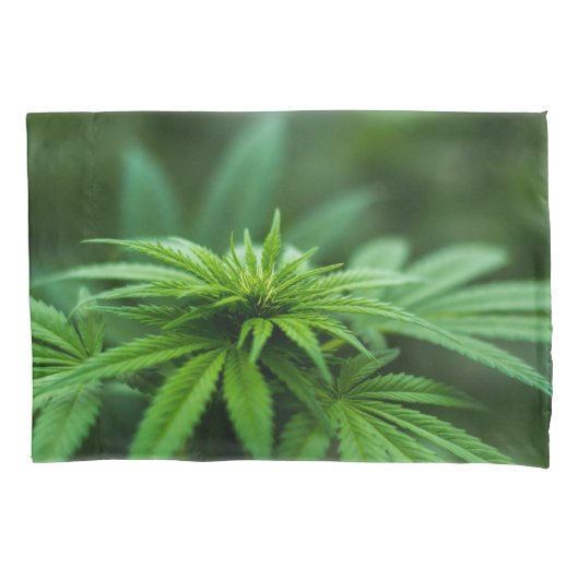 美しい雑草 枕カバー (正面)