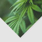 美しい雑草 薄葉紙 (詳細)