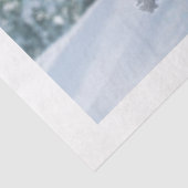 美しい雪のアイルランドのウルフハウンドのシーン 薄葉紙 (詳細)