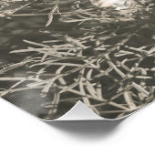 美しい雪の白いワイルドフラワーフローラ ポスター (コーナー)