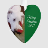 美しい雪の白い子犬グリーンクリスマス オーナメント (正面)