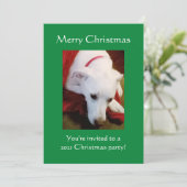 美しい雪の白い子犬グリーンクリスマス 招待状 (スタンド正面)