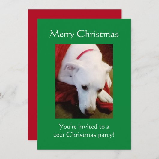 美しい雪の白い子犬グリーンクリスマス 招待状 (正面/裏面)