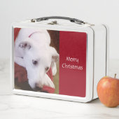 美しい雪の白い犬の赤いクリスマスランチボックス メタルランチボックス (インサイチュ)