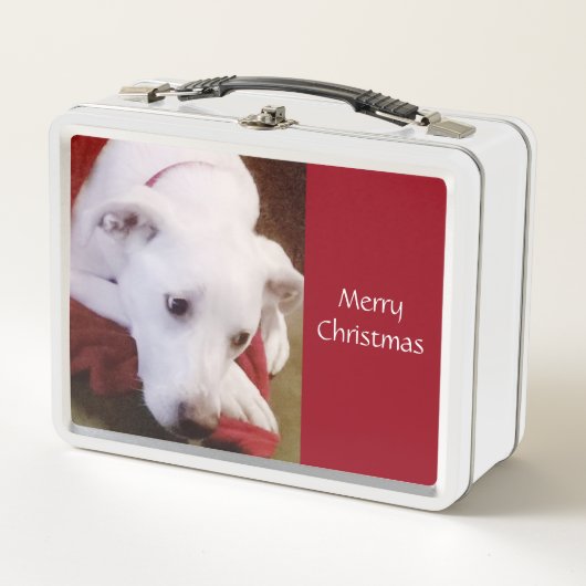 美しい雪の白い犬の赤いクリスマスランチボックス メタルランチボックス (正面)