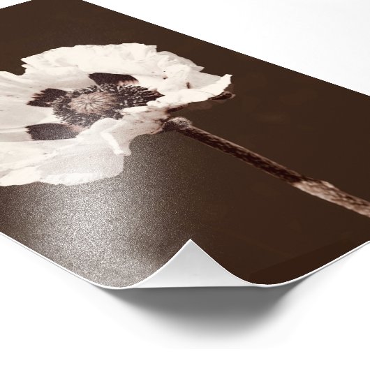 美しい雪の白モンタナワイルドフラワー フォトプリント (角)