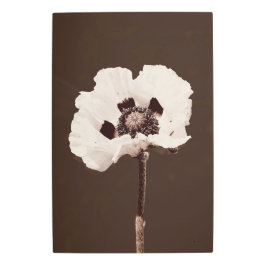 美しい雪の白モンタナワイルドフラワー メタルプリント