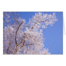 美しい雪場面写真