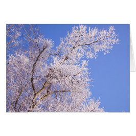 美しい雪場面写真