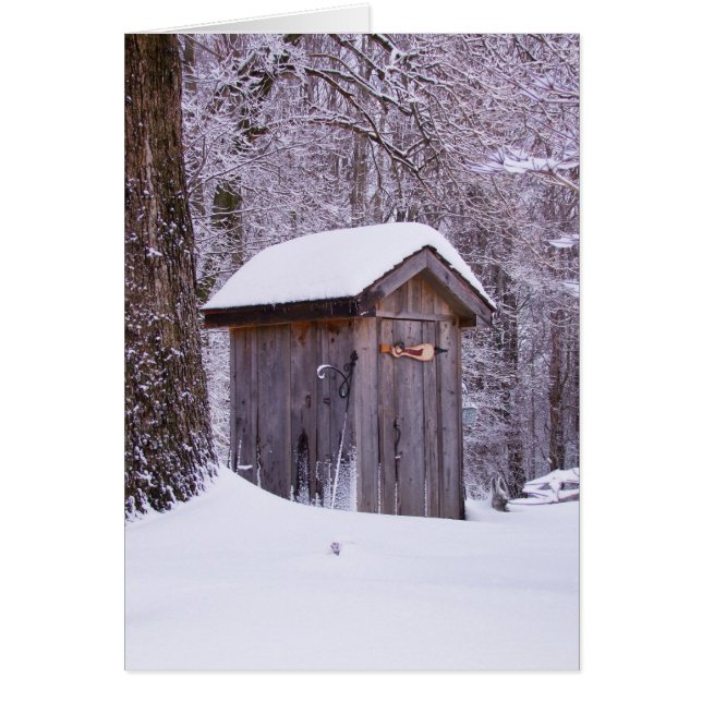 美しい雪場面写真 (正面)