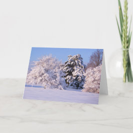 美しい雪場面写真 カード