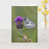 美しい霜降り白い蝶 – グリーティングカード (黄色い花)