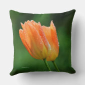 美しい露のキスを受けたパステルオレンジチューリップ クッション (裏面)