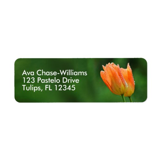 美しい露のキスを受けたフローラパステルオレンジチューリップ ラベル (正面)