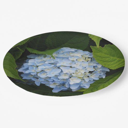 美しい青あじさいフローラ写真 ペーパープレート (アングル)