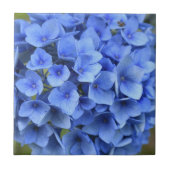 美しい青いアジサイの花 フローラル タイル (正面)