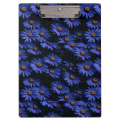 美しい青いアスターのクリップボード クリップボード (正面)