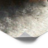 美しい青いコーンフラワー ポスター (角)