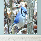 美しい青いジェイ キャンバスプリント (インサイチュ (ウッドフロア))