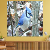 美しい青いジェイ キャンバスプリント (インサイチュ (リビング))