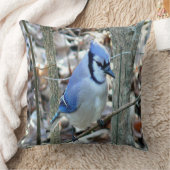 美しい青いジェイ クッション (ブランケット)