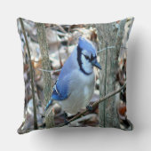 美しい青いジェイ クッション (裏面)