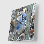 美しい青いジェイ スクエア壁時計 (傾斜)