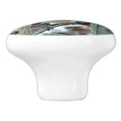 美しい青いジェイ セラミックノブ (側面)