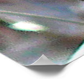 美しい青いジェイ ポスター (角)