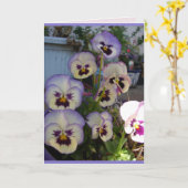 美しい青いパンジー パンジー 花の花のカード カード (黄色い花)