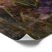 美しい青いパンドラ ポスター (角)