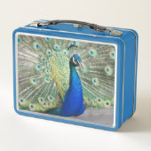 美しい青い孔雀の写真 メタルランチボックス (裏面)