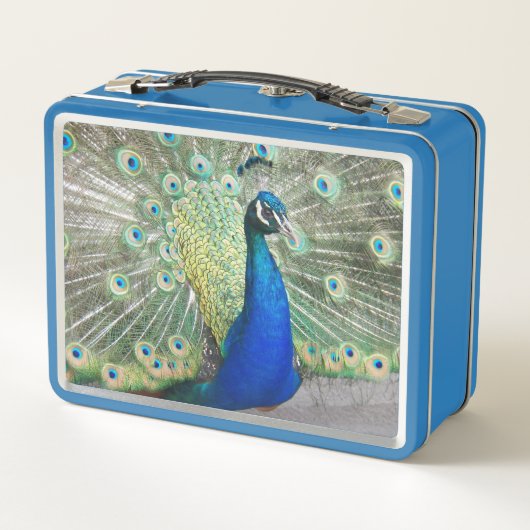 美しい青い孔雀の写真 メタルランチボックス (裏面)