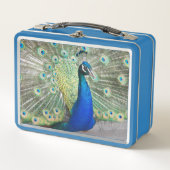 美しい青い孔雀の写真 メタルランチボックス (正面)