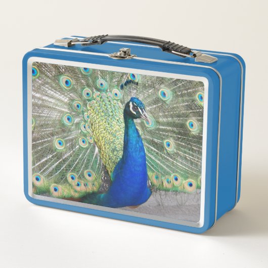 美しい青い孔雀の写真 メタルランチボックス (正面)
