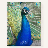 美しい青い孔雀の羽毛の写真 ノートブック (正面)