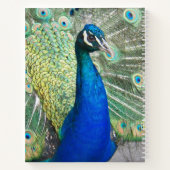 美しい青い孔雀の羽毛の写真 ノートブック (裏面)