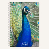 美しい青い孔雀の羽毛の写真 ノートブック (正面)