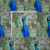美しい青い孔雀の羽 ファブリック (タイル)