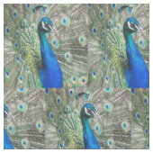 美しい青い孔雀の羽 ファブリック (クローズアップ)