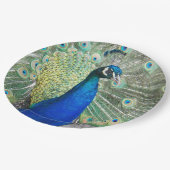 美しい青い孔雀の羽 ペーパープレート (アングル)