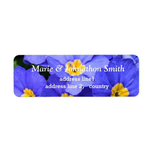 美しい青い庭の花ファミリー住所 シール (正面)