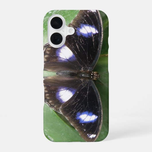 美しい青い斑点のある蝶 iPadケース iPhone 16ケース (裏面)