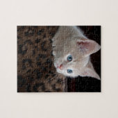 美しい青い目のクリーム色の子猫 ジグソーパズル (横)